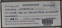 Image Associated With the Occurence